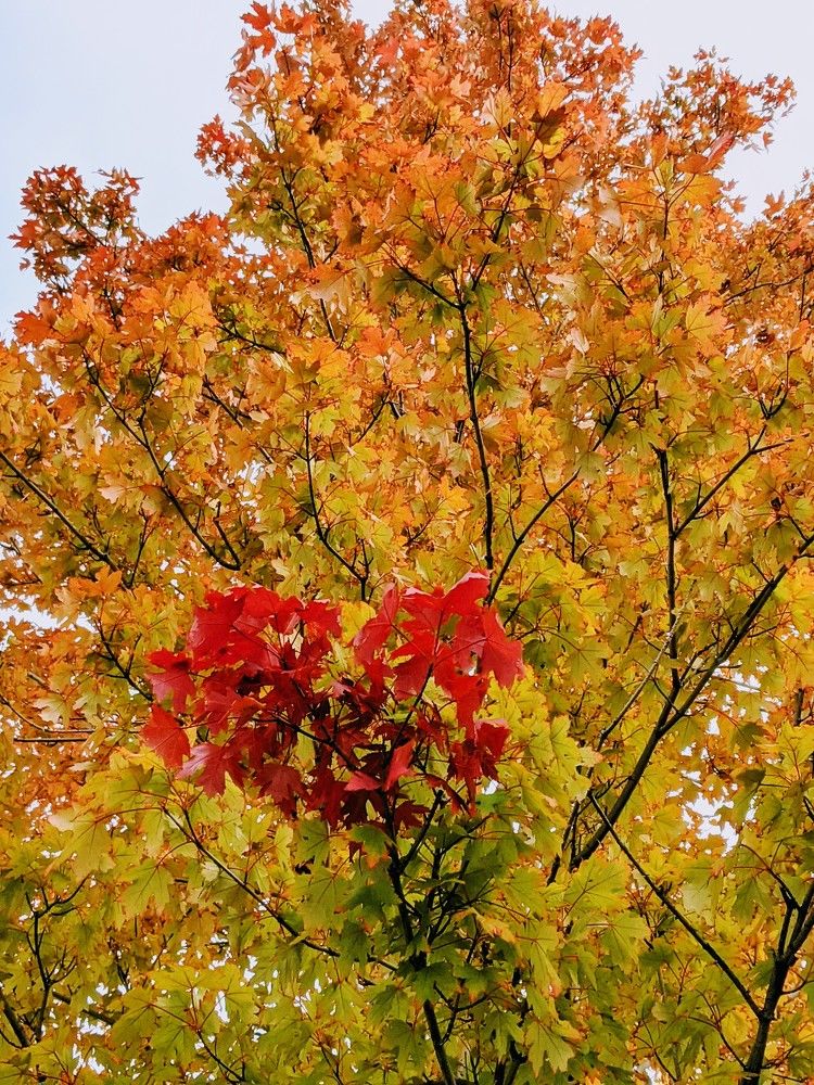 Photograph by Shaila Mahbub