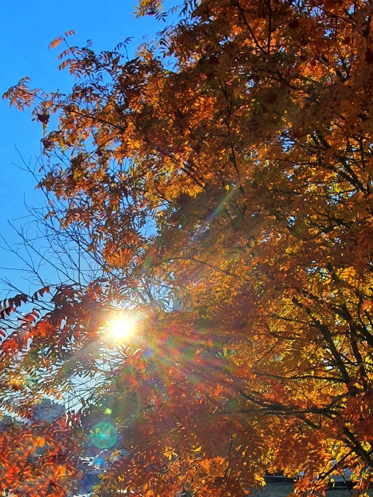 Photograph by Татьяна Мельникова