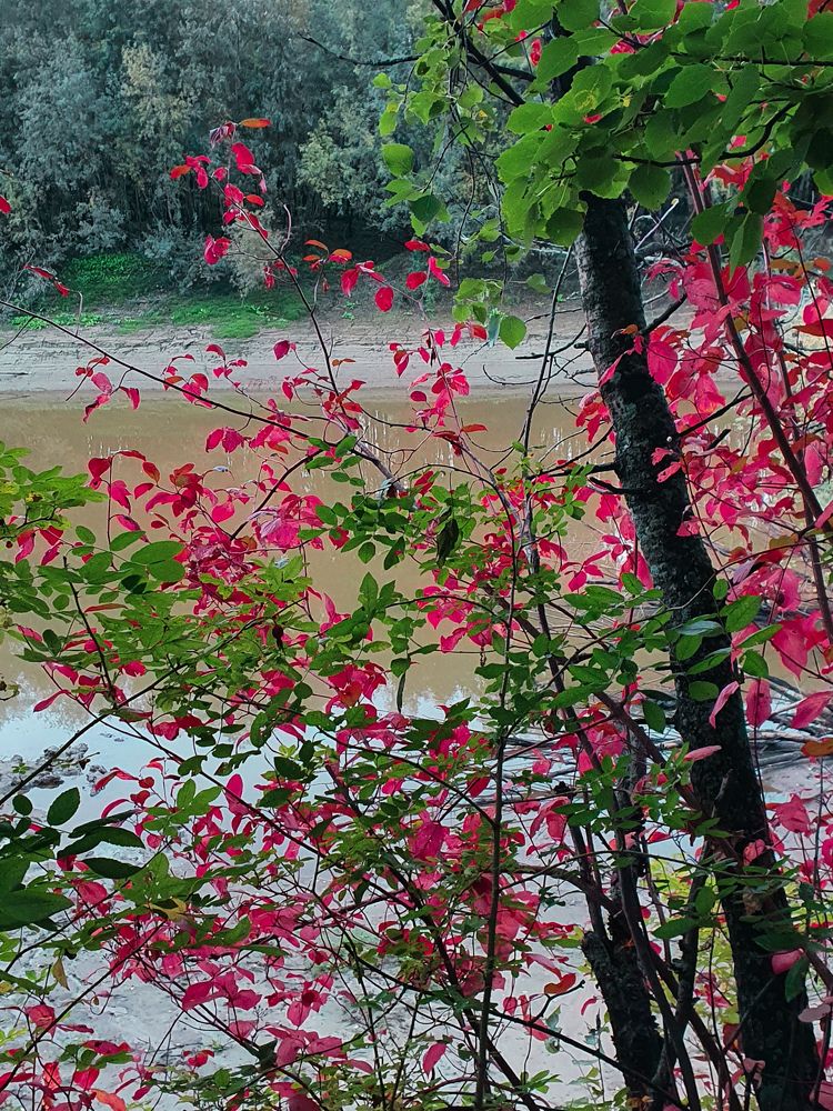 Photograph by Татьяна Мельникова