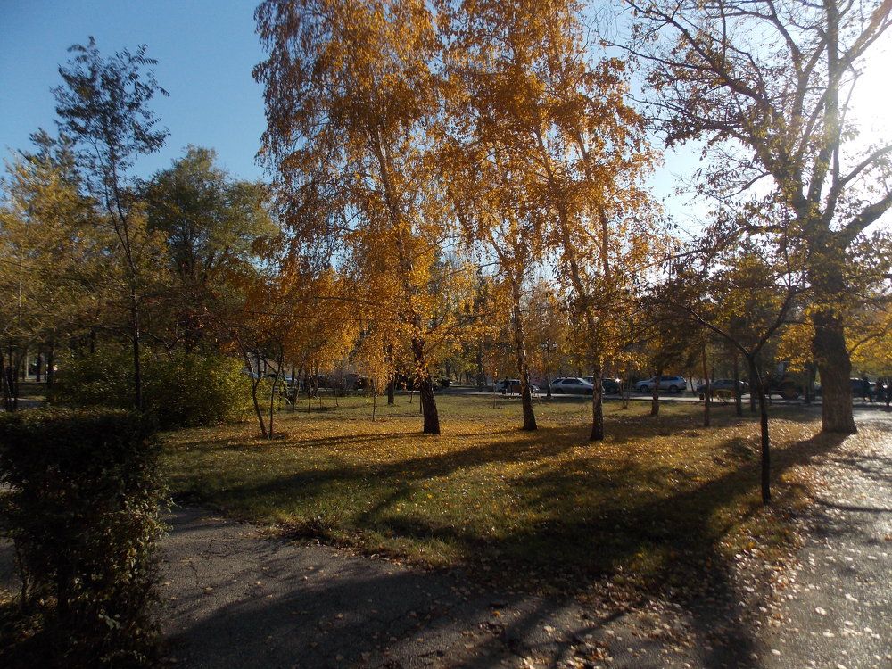 Золотая осень!