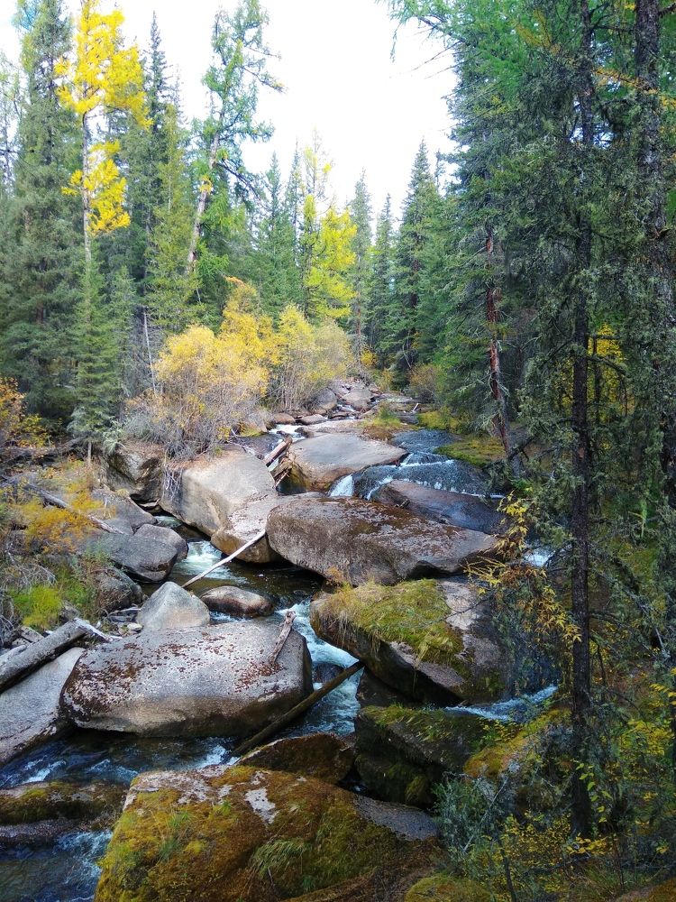 Фотография автора галина лапшина