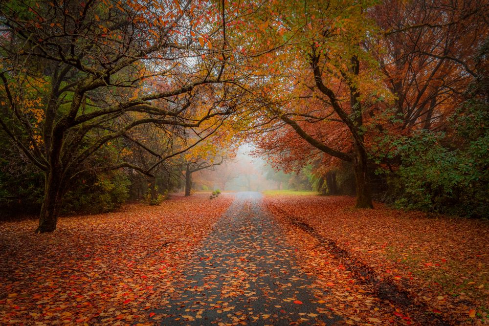 Photograph by Fascinating Imagery