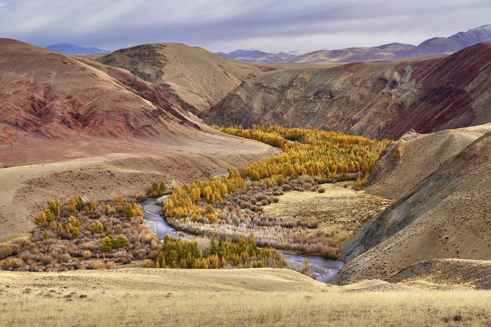 Photograph by Андрей Кузнецов