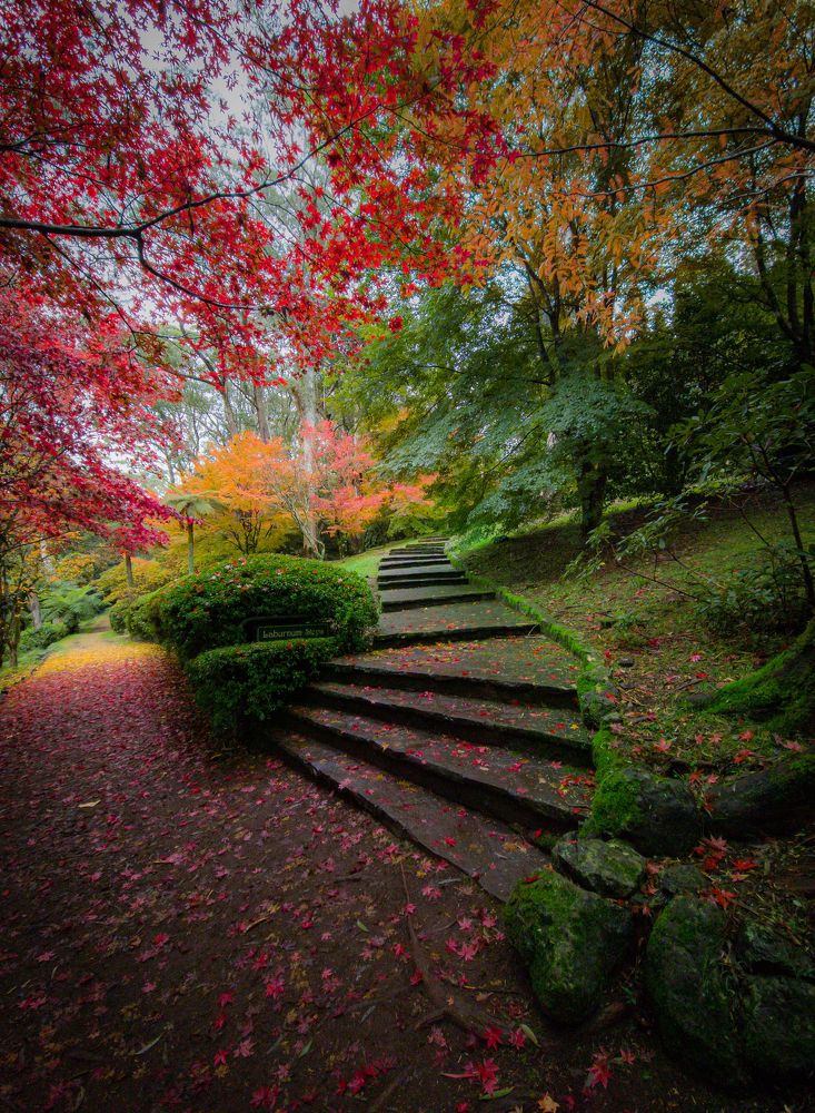 Photograph by Fascinating Imagery