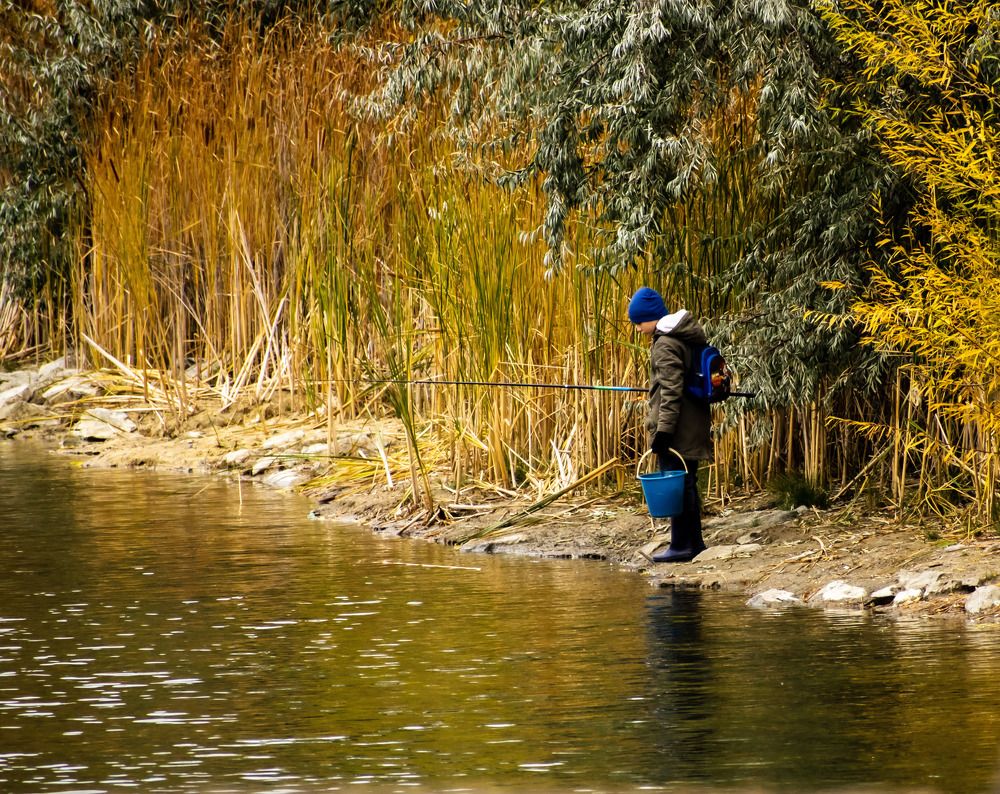 Фотография автора Роман Филатов