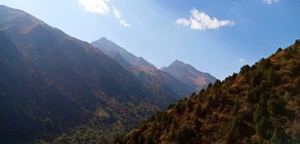 Photograph by Андрей Абрамов