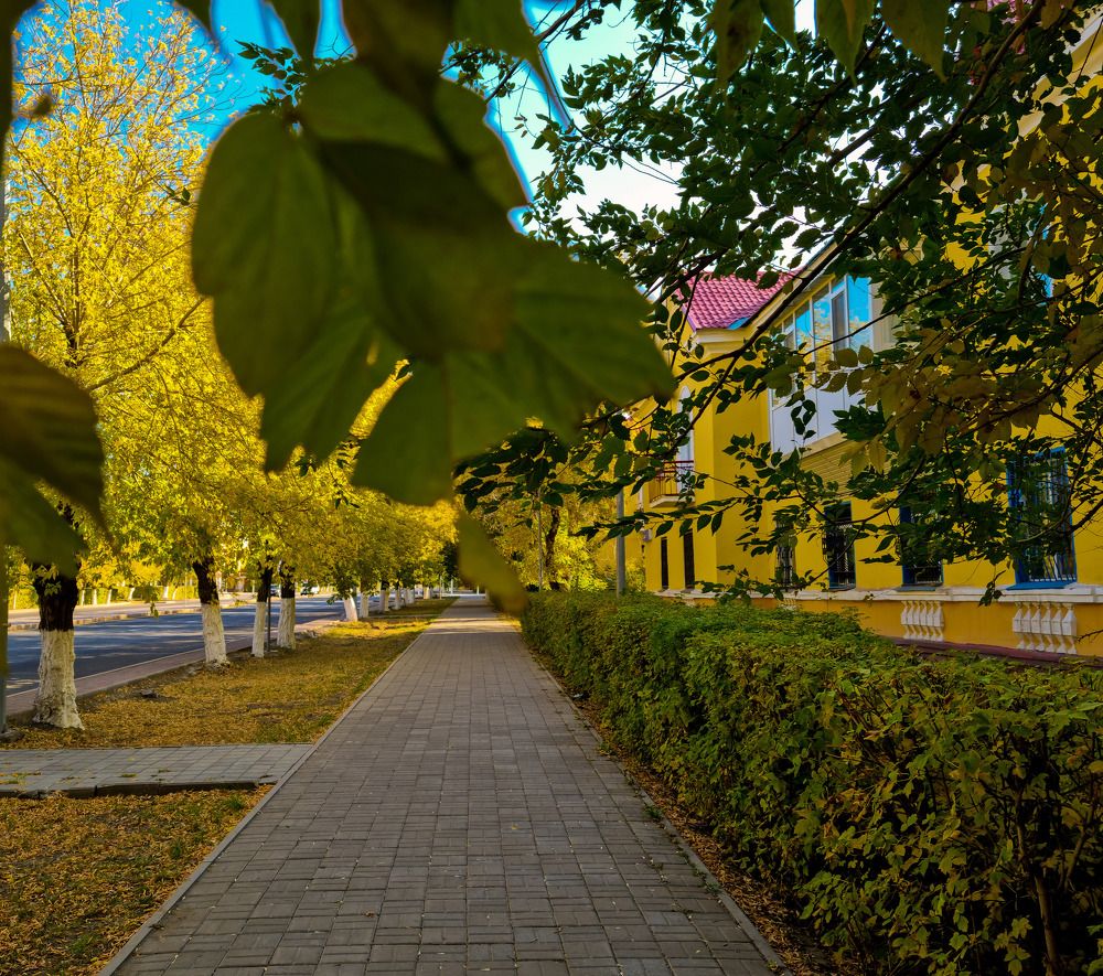 Фотография автора Роман Филатов