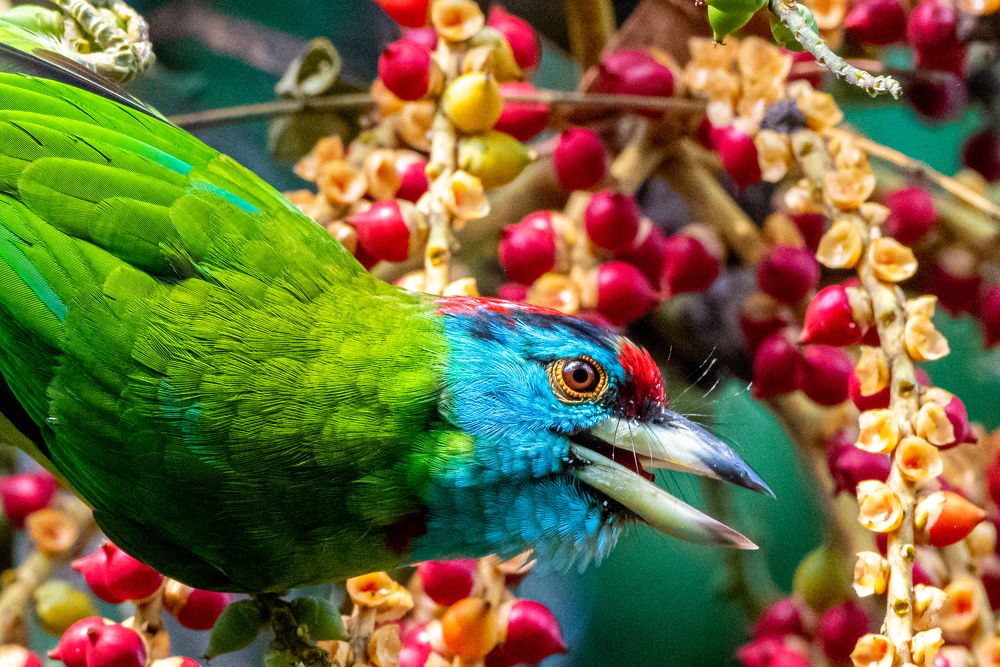 Colourful me with colourful breakfast