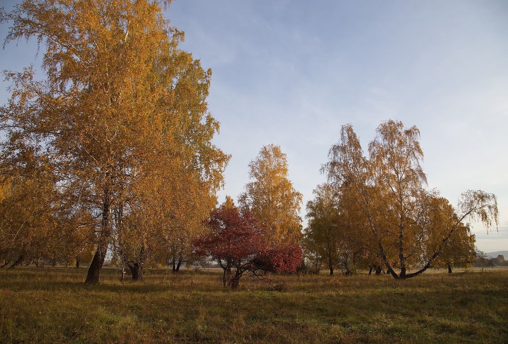 Photograph by Анатолий Васильев