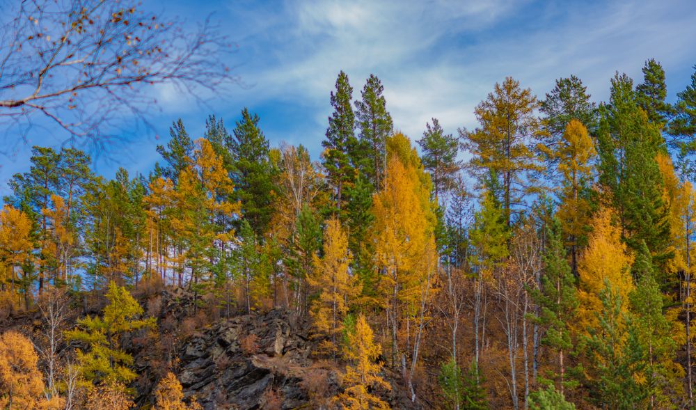 Photograph by Пётр Леонов