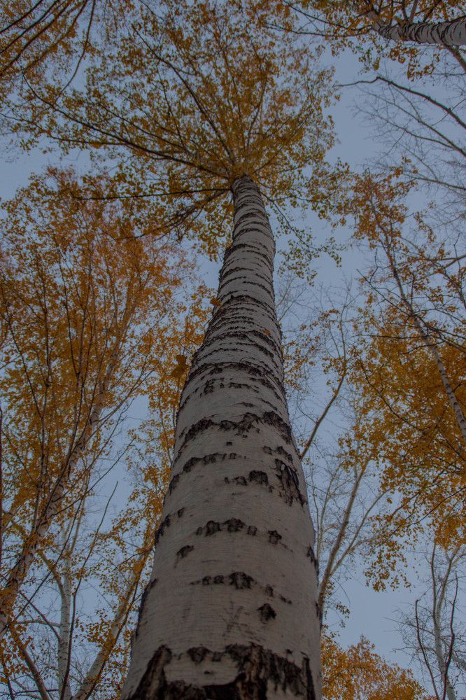 Photograph by Анастасия Борисова