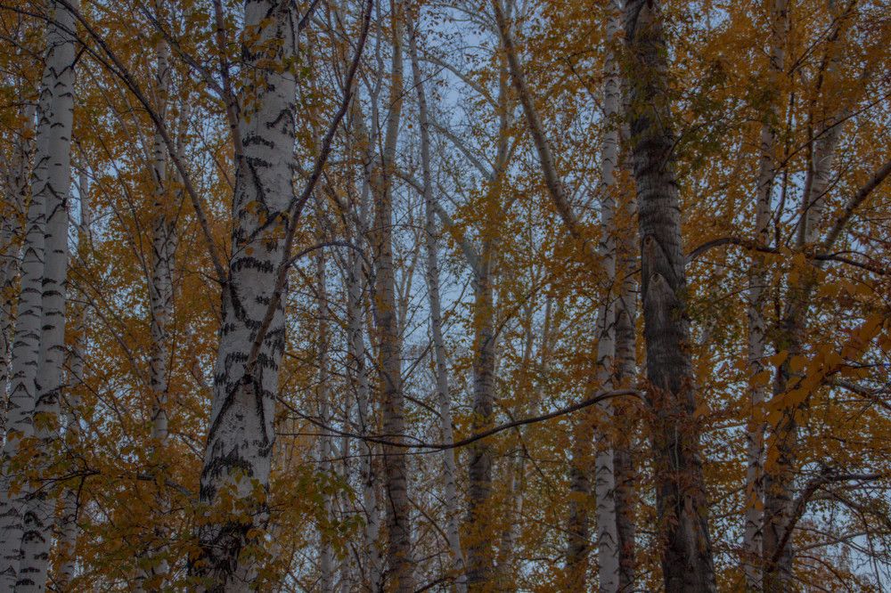 Photograph by Анастасия Борисова