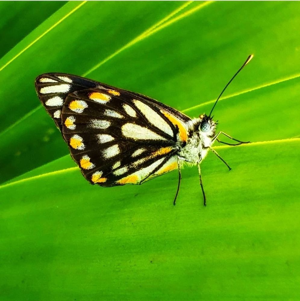 Photograph by Masoumeh Babashahi