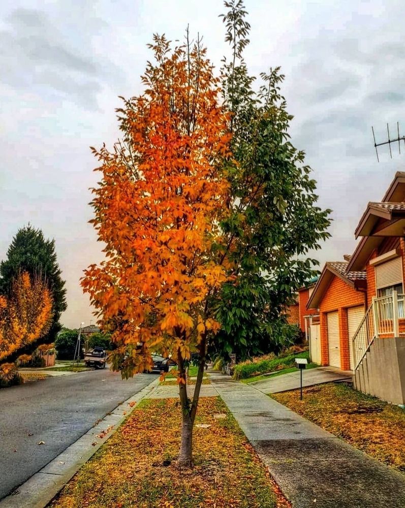 Photograph by Masoumeh Babashahi