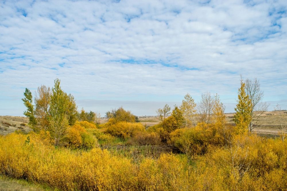 Photograph by Валерий Федяров