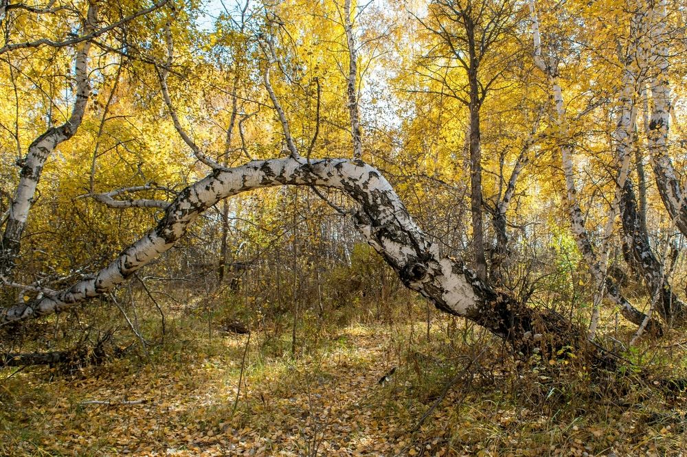 Photograph by Валерий Федяров