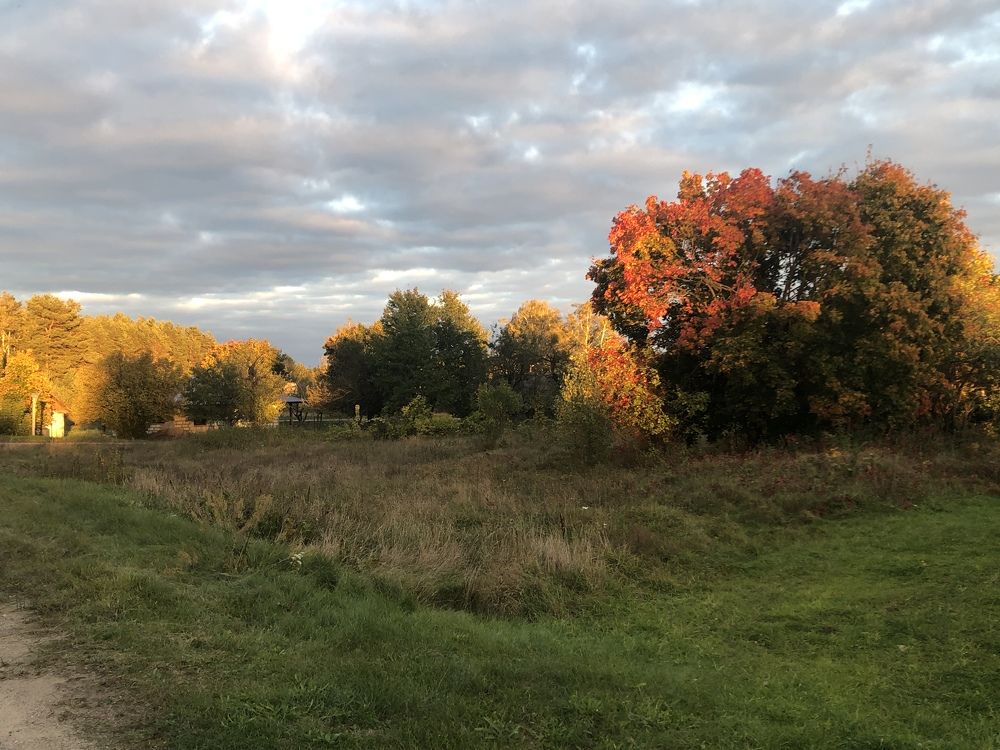 Фотография автора Наталья Васько -Черданцева