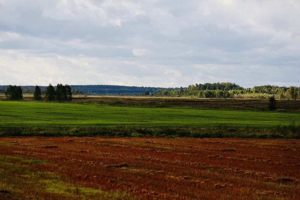 Фотография автора Наталья Васько -Черданцева