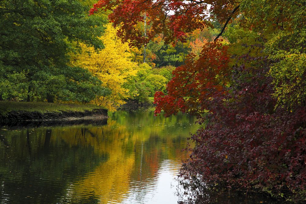 Палитра осени