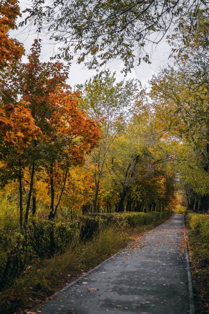 Photograph by Ярослав Акопян