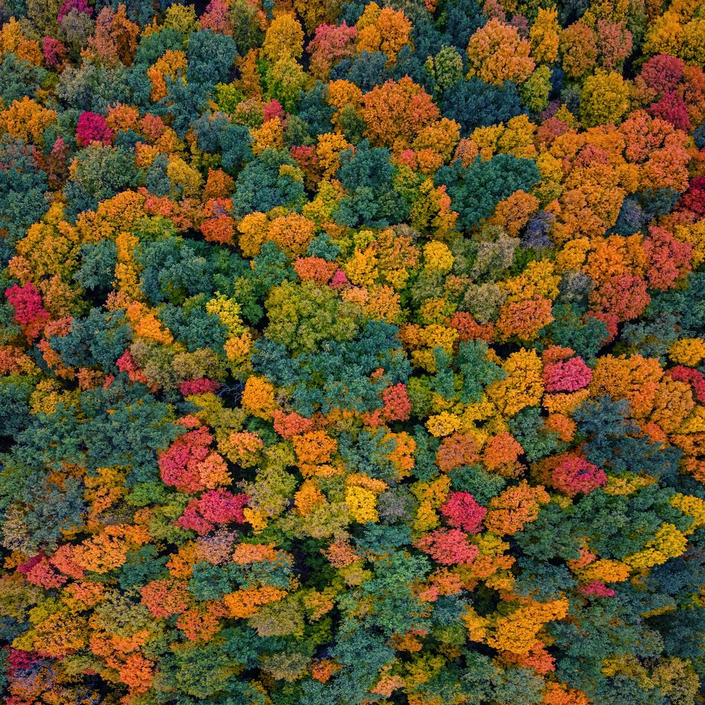 Photograph by Сергей Максимов