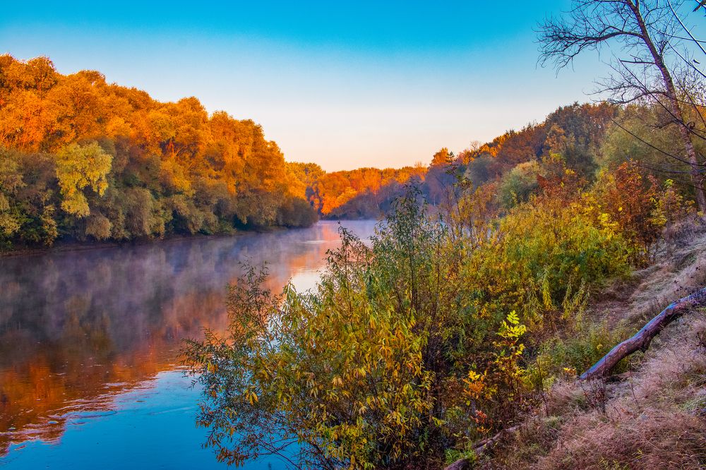 Photograph by Сергей Викулов
