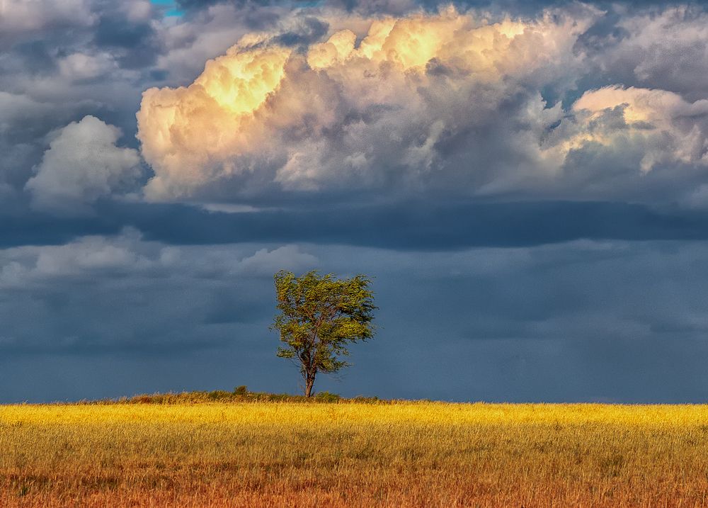 Photograph by Олег Белан