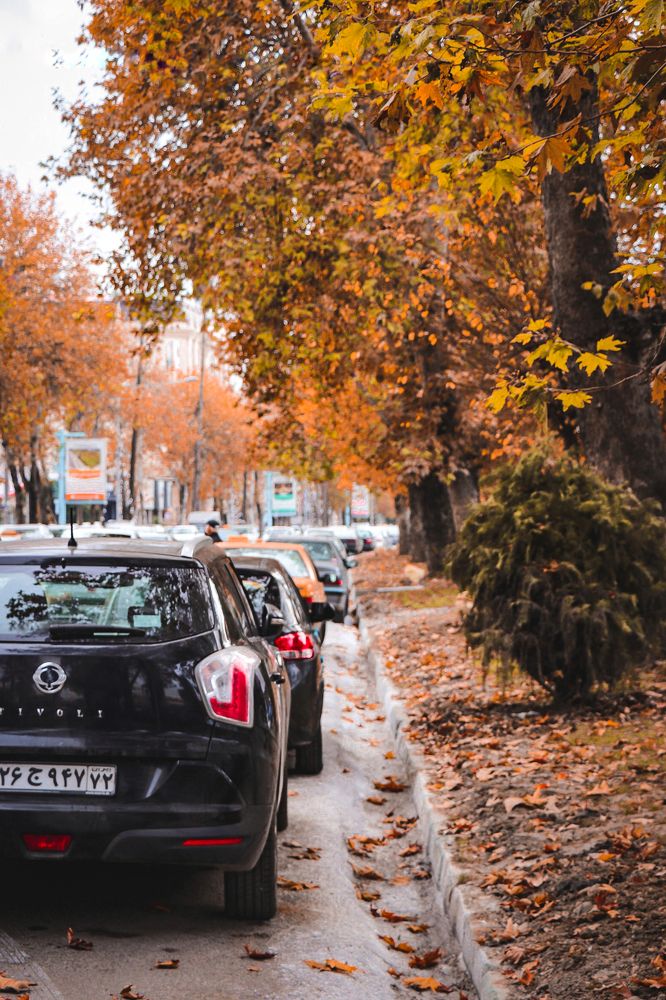 Photograph by Mahyar Aalaei