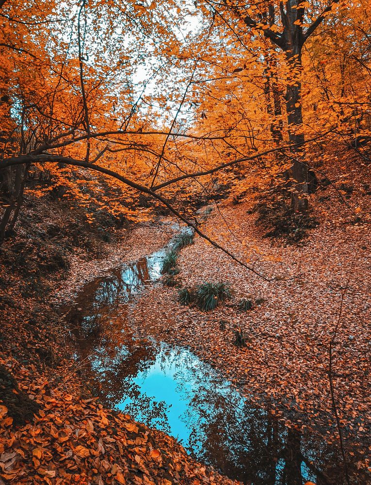 Photograph by Mahyar Aalaei