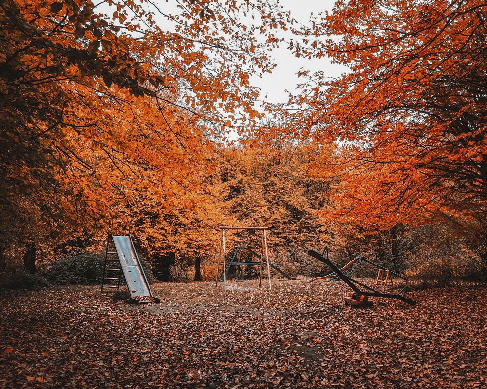 Photograph by Mahyar Aalaei