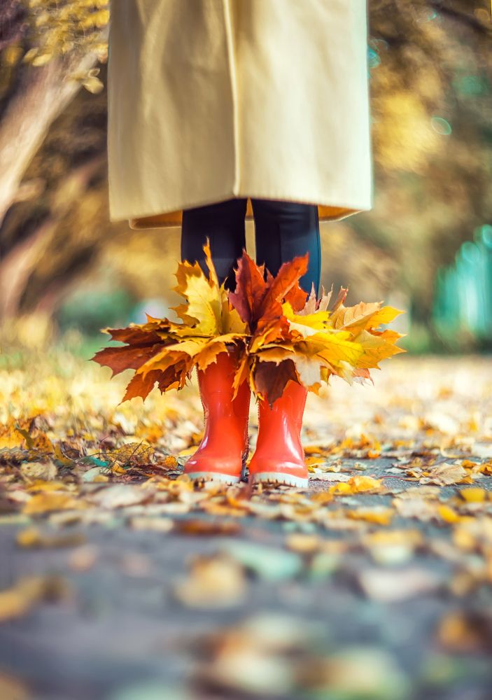 Красочные осенние листья в сапогах
