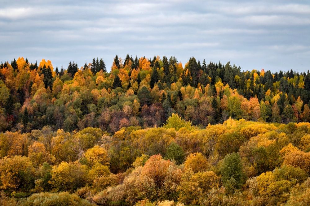 Photograph by Александр Титов