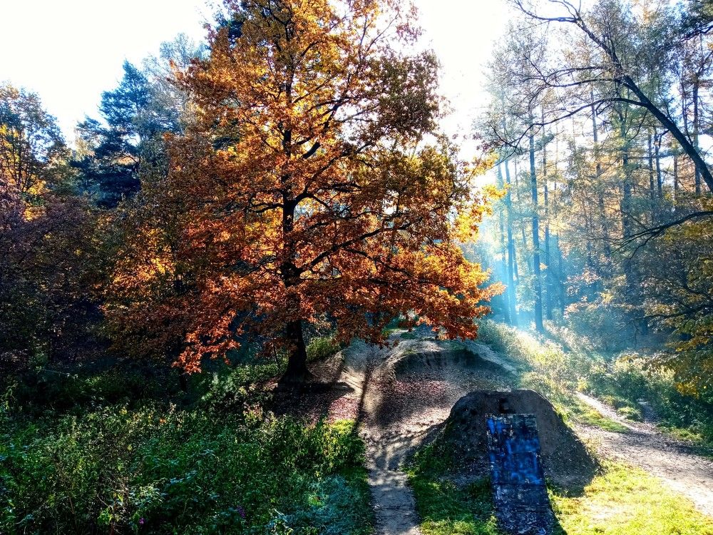 Photograph by Анастасия Клопкова