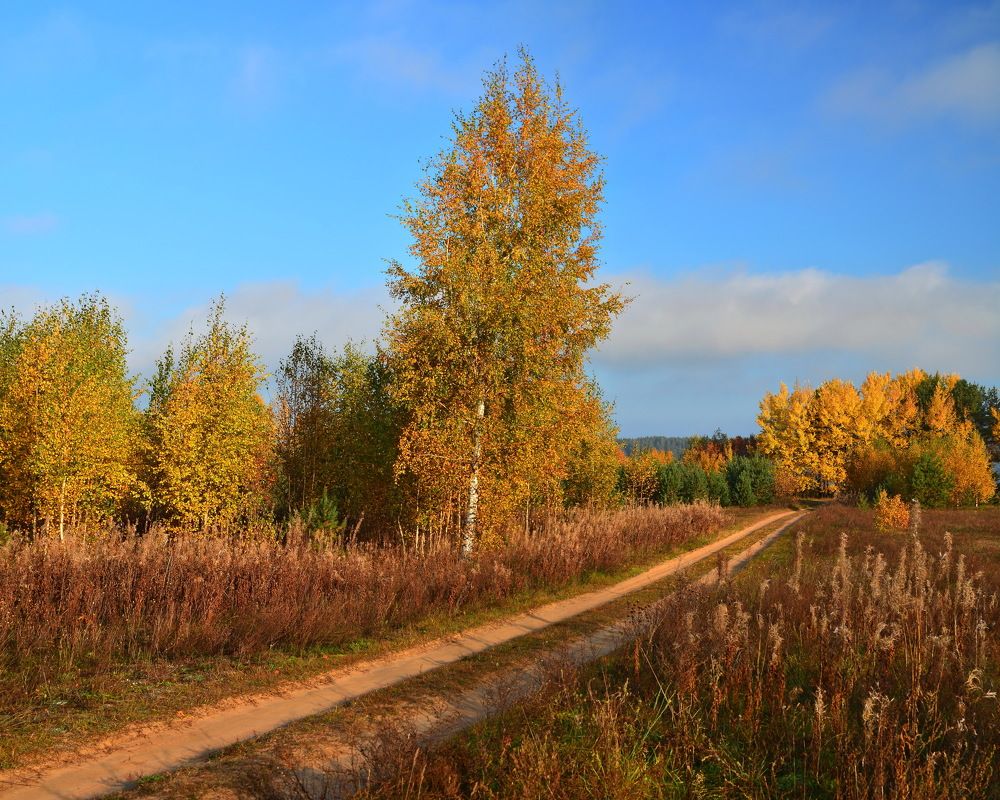 Дорога в осень.