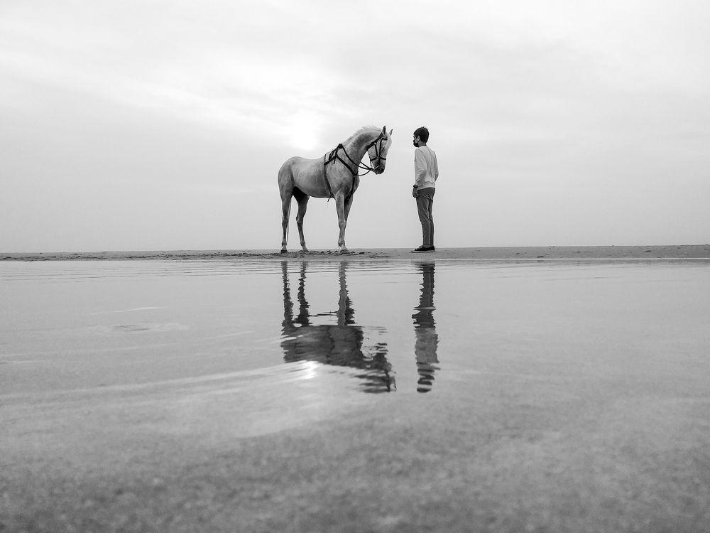 Photograph by Mohammad Saeed Elsebah