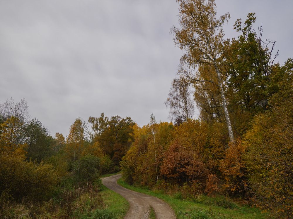 Photograph by Михаил Шохин
