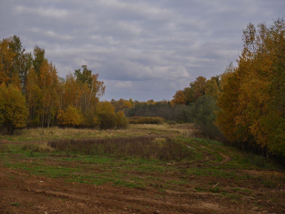 Photograph by Михаил Шохин
