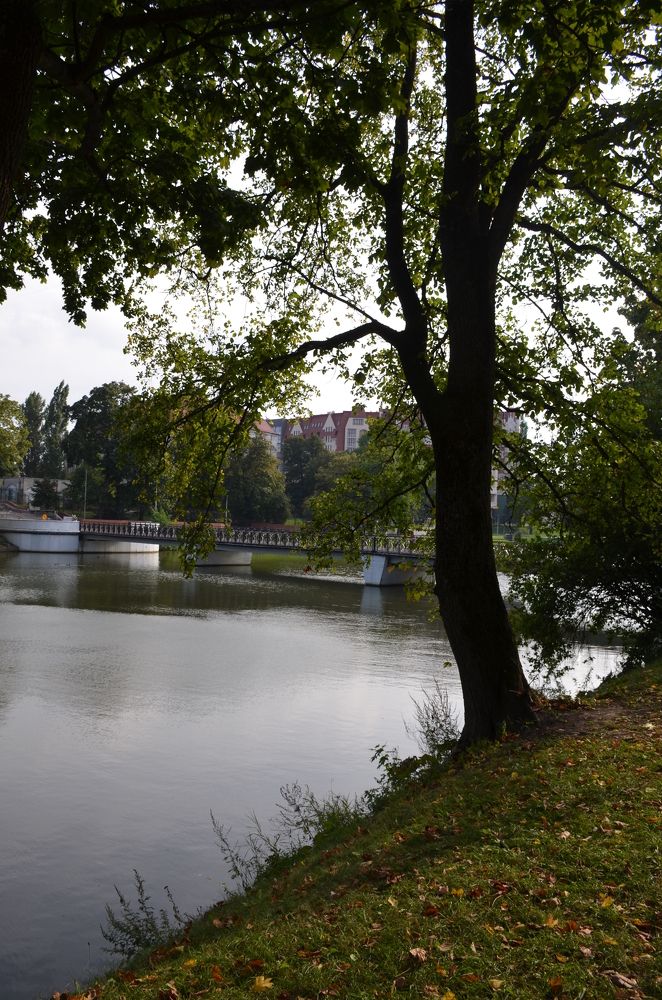 Photograph by Надежда Каравайцева