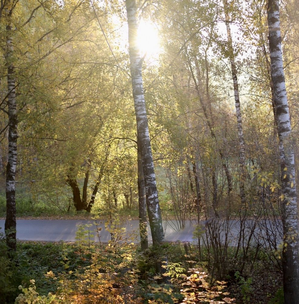 Photograph by Екатерина Бондаренко