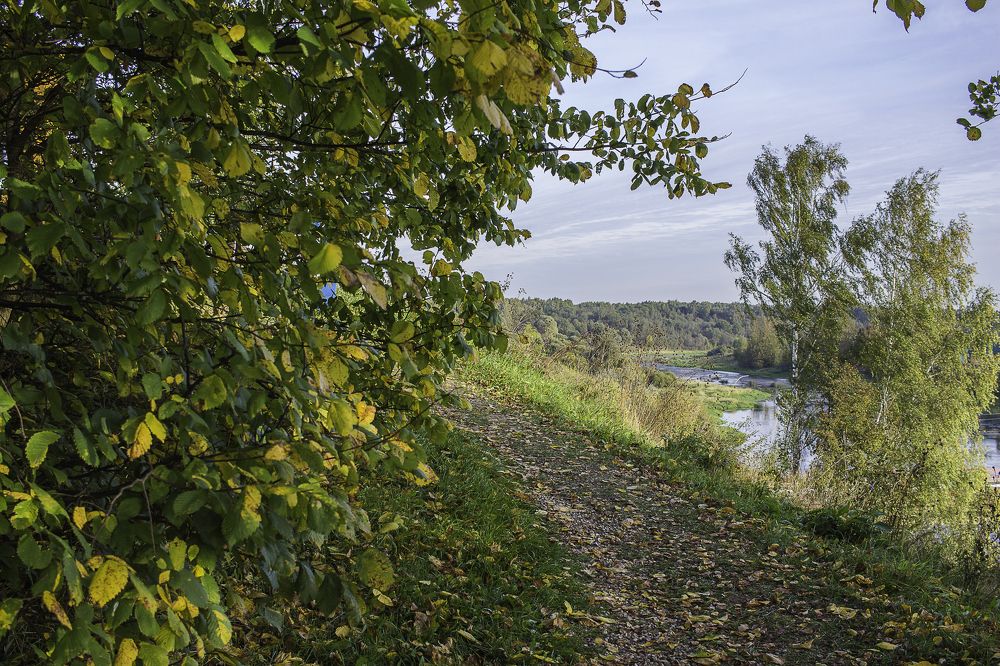 Вот опять сентябрь подпалил листву