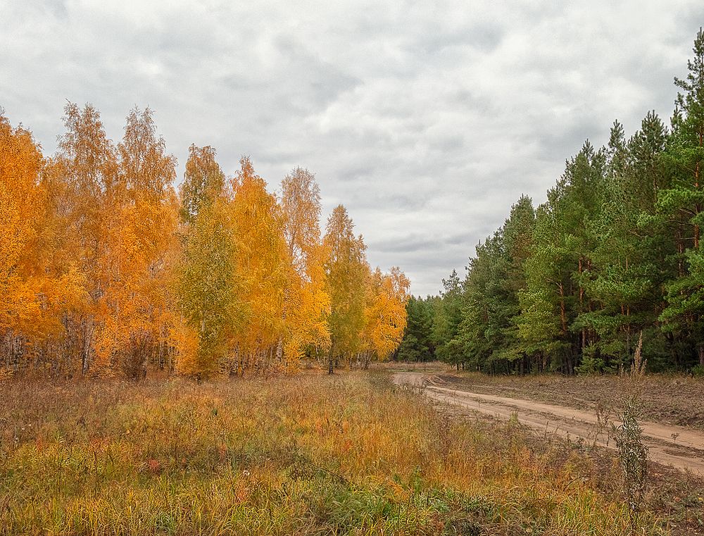 Photograph by Олег Белан