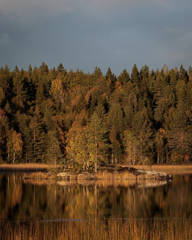 Photograph by Николай Шарлай