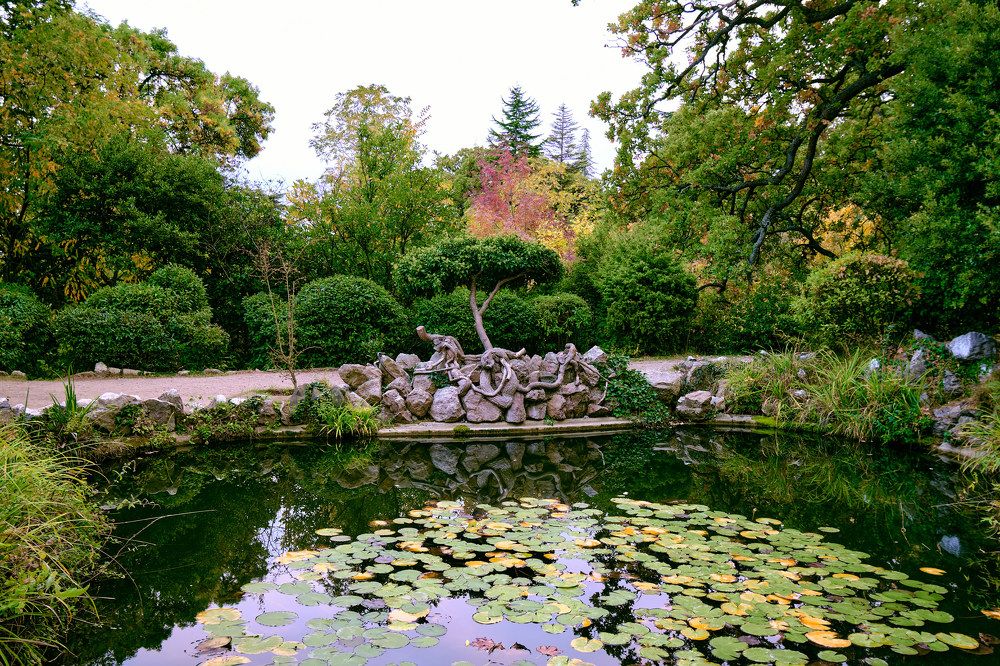 Photograph by Andrey Chernyuk