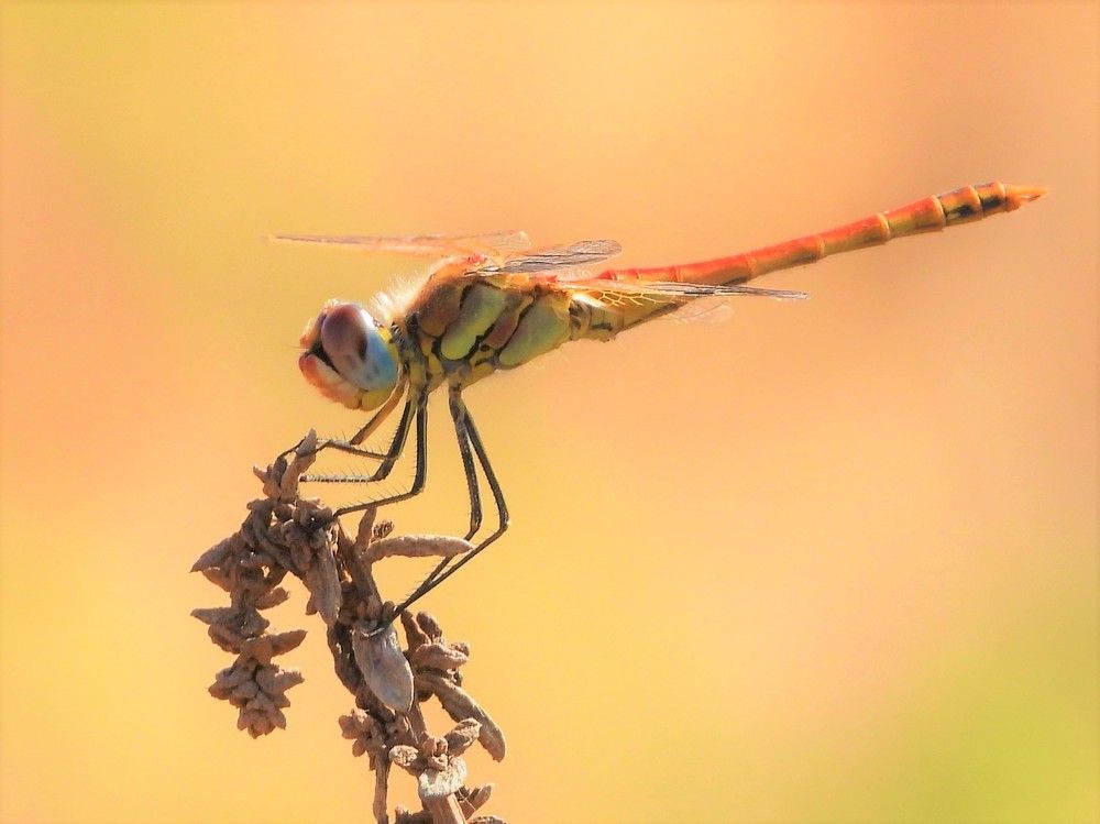 Photograph by Tamir Mor