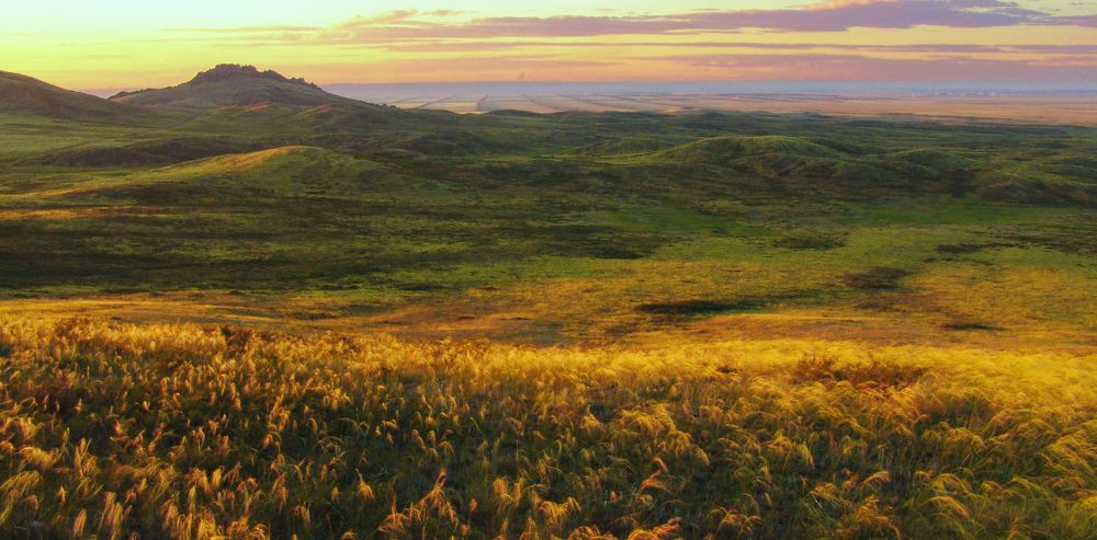 Photograph by Михаил Максимов