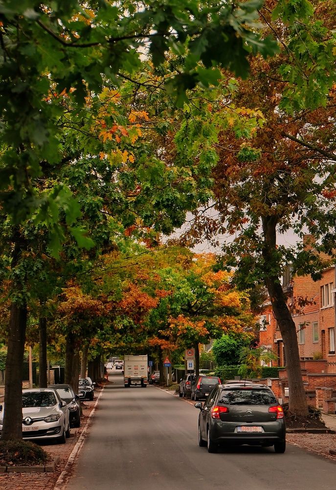 Photograph by Данил Макаренко