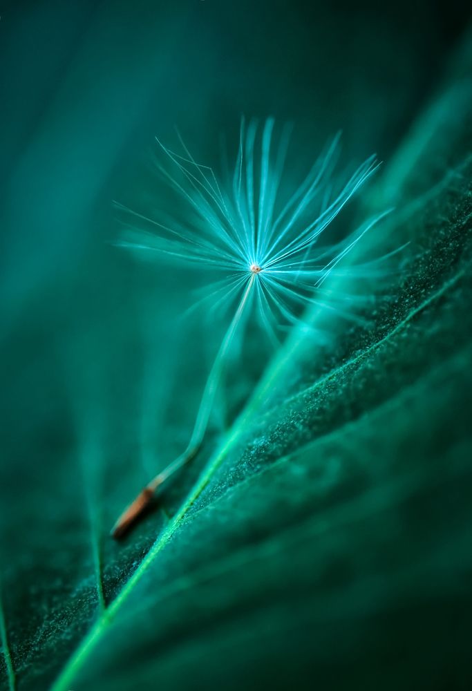 Photograph by Ксения Базарова