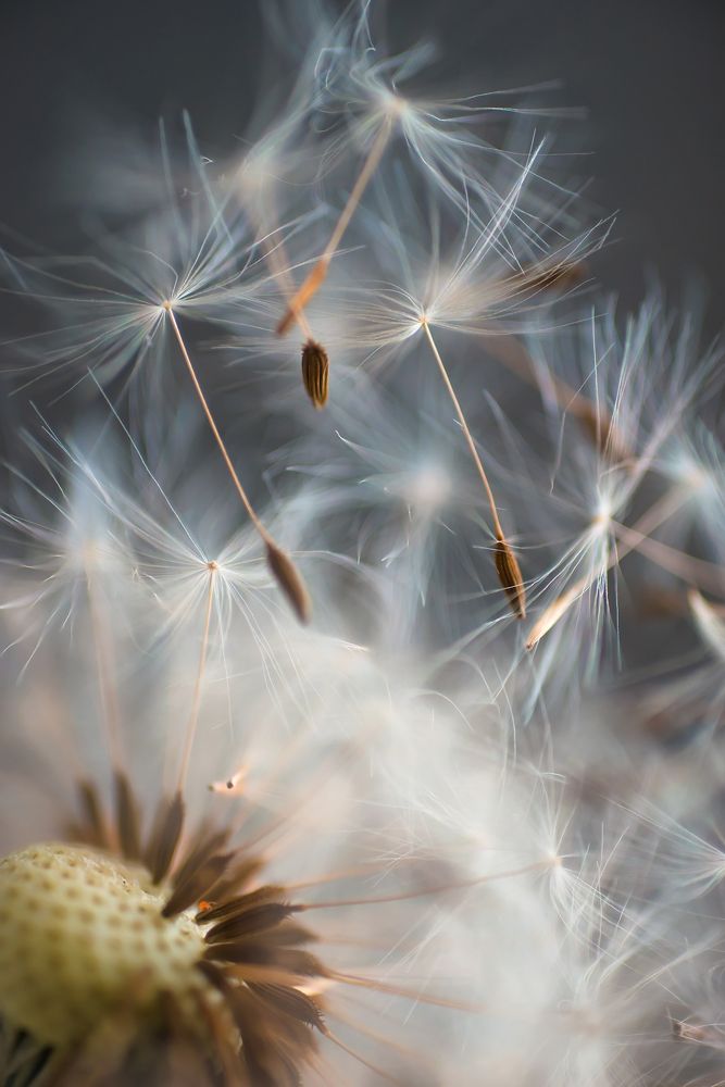 Photograph by Ксения Базарова