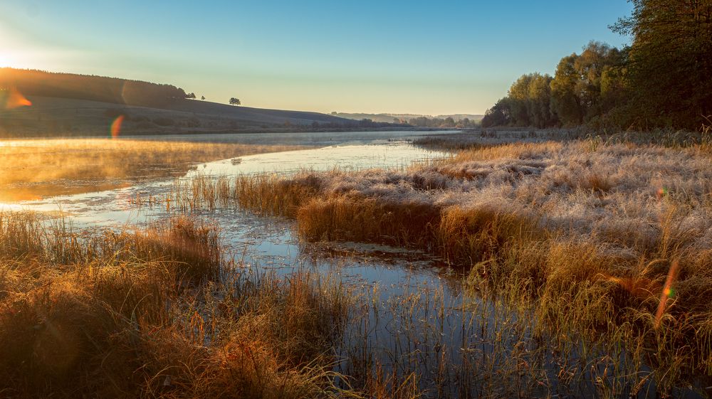 Фотография автора Александр Дюльгер