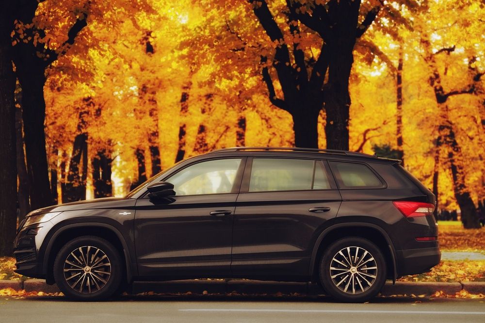 Photograph by Елена Катасонова